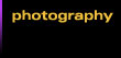 onetreeDesign :: photography